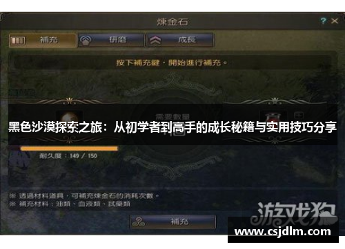 黑色沙漠探索之旅：从初学者到高手的成长秘籍与实用技巧分享