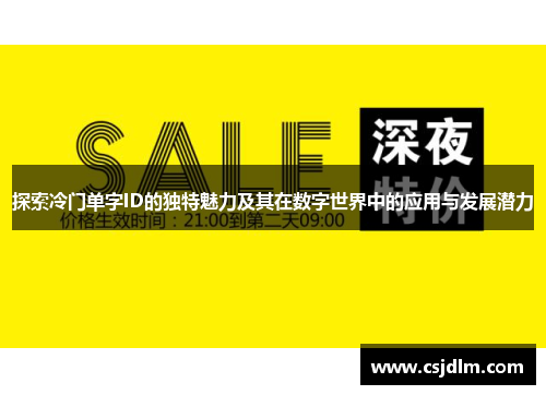 探索冷门单字ID的独特魅力及其在数字世界中的应用与发展潜力
