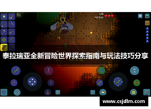 泰拉瑞亚全新冒险世界探索指南与玩法技巧分享